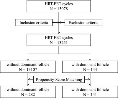 The relationship between dominant follicle development and clinical outcomes of hormone replacement therapy-frozen embryo transfer: a retrospective clinical study